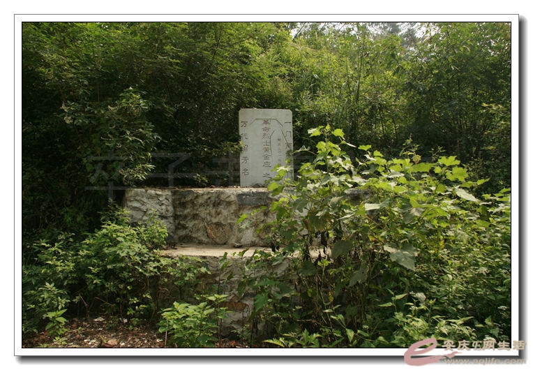 20140908 016.jpg