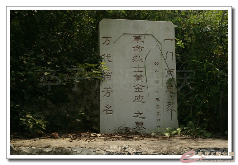 20140908 018.jpg