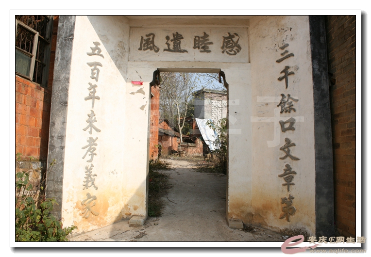 20131221 462.jpg