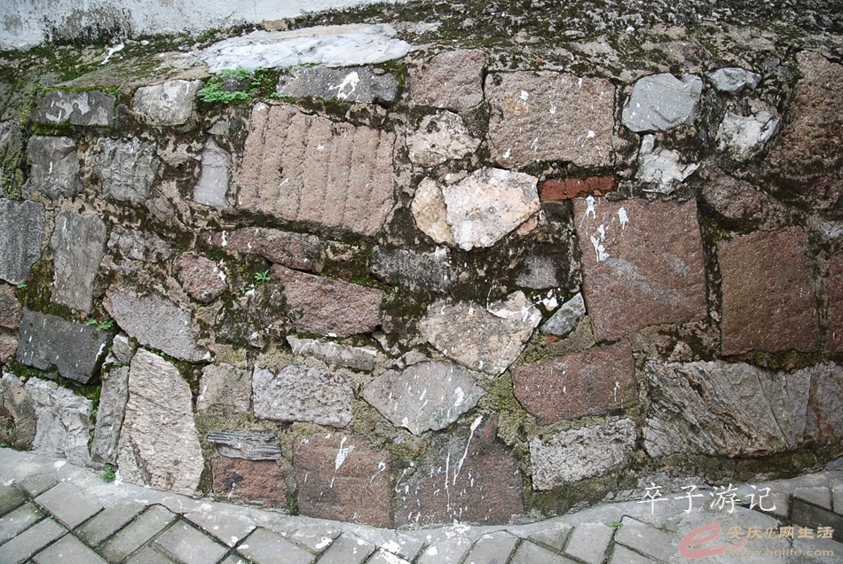05.jpg