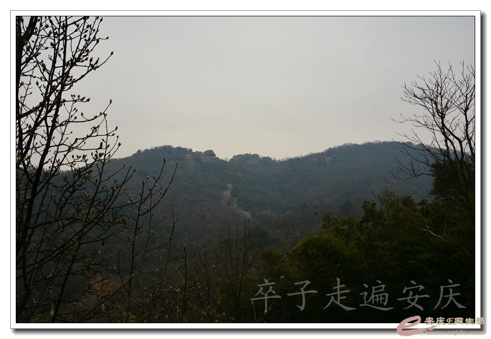 20151219 306.jpg
