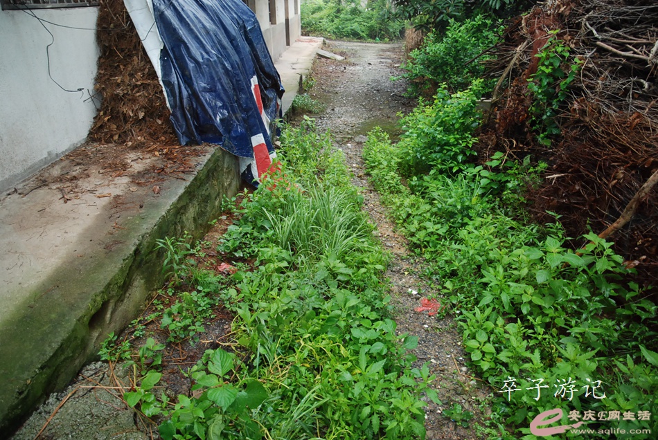 05.jpg