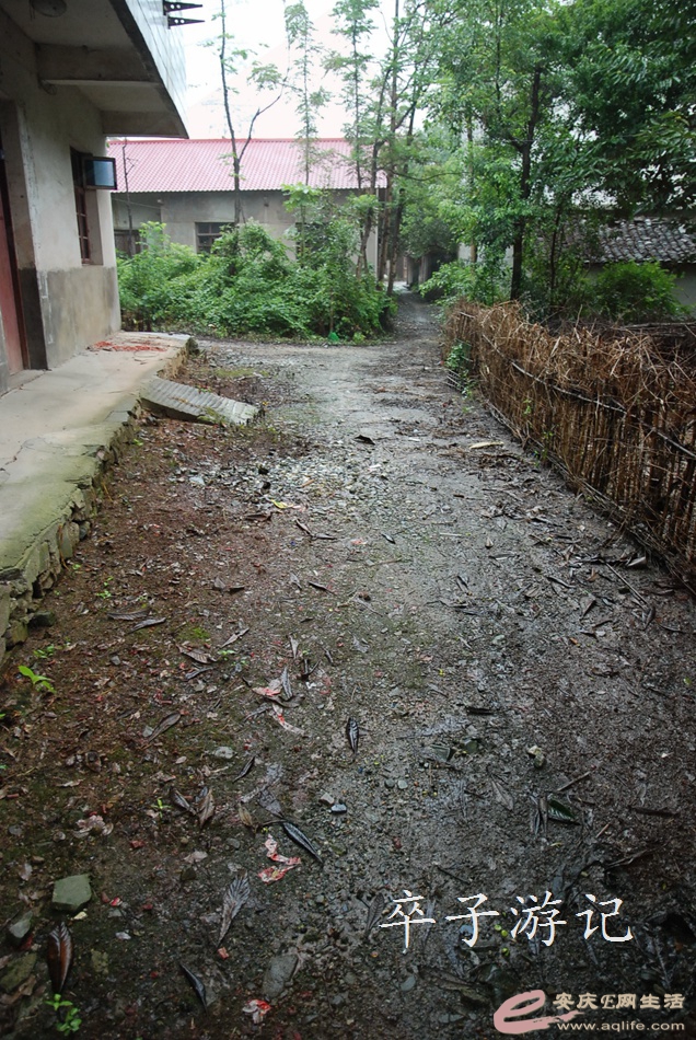 07.jpg