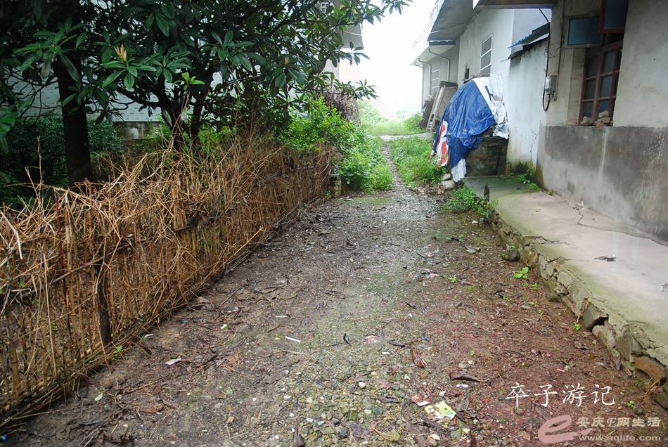 08.jpg