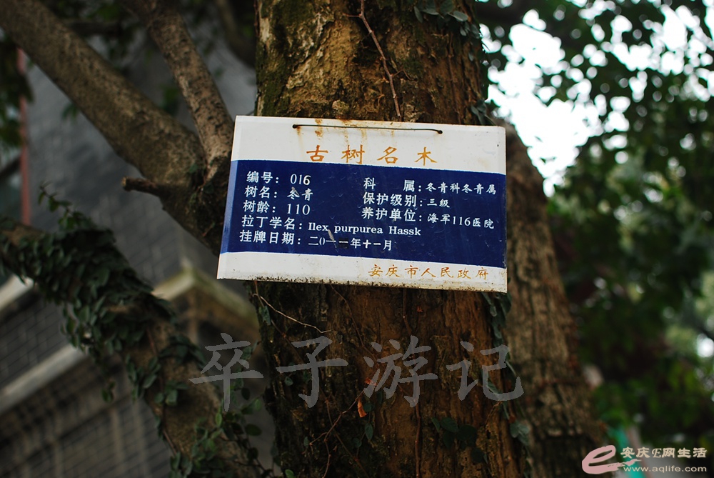 DSC_0579.jpg