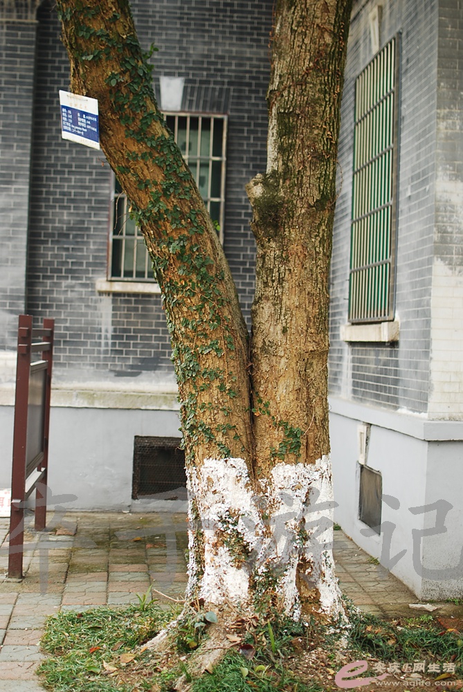 DSC_0580.jpg