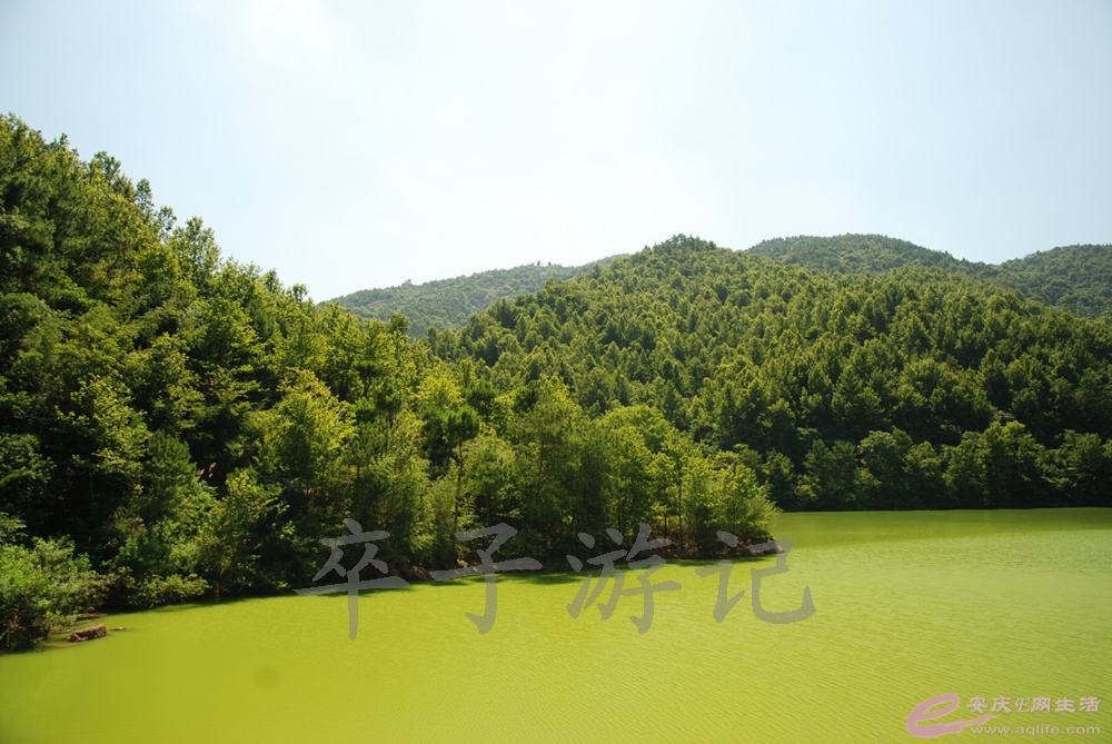 DSC_4744.jpg