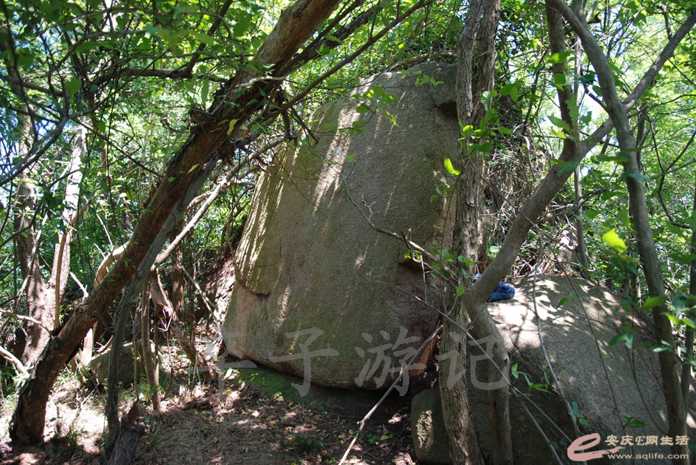 DSC_4752.jpg