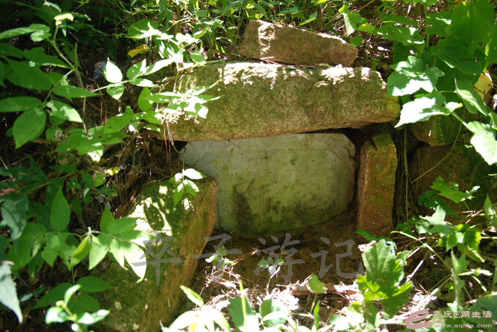 DSC_4764.jpg