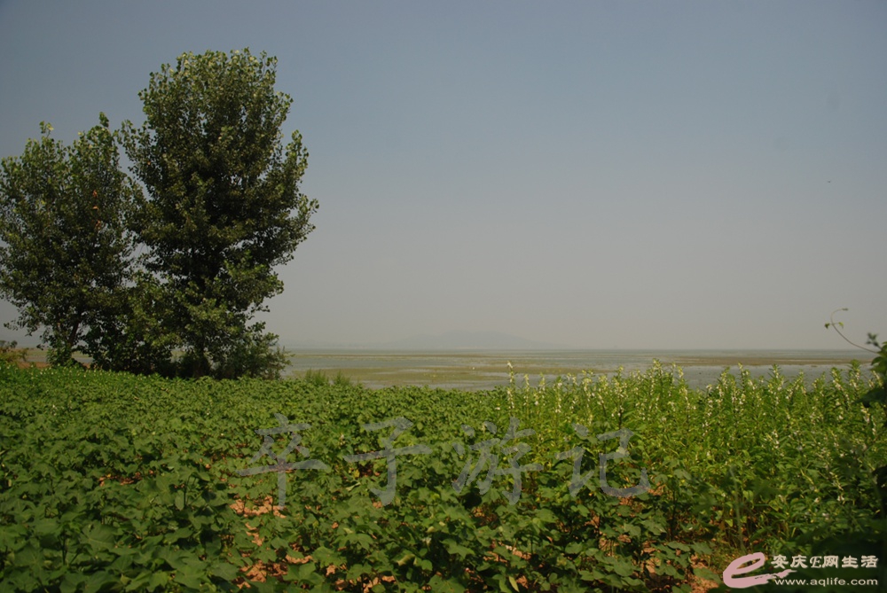 DSC_4877.jpg