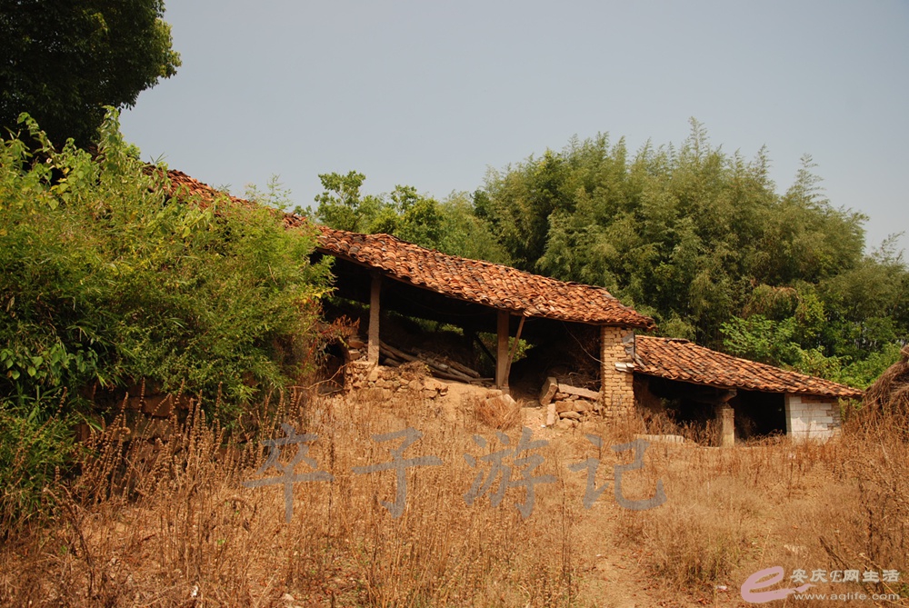 DSC_4968.jpg