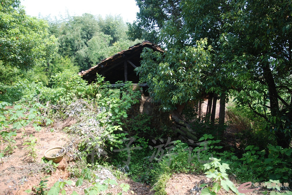 DSC_5014.jpg