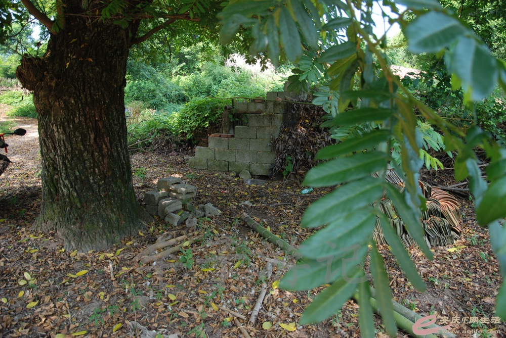 DSC_5019.jpg