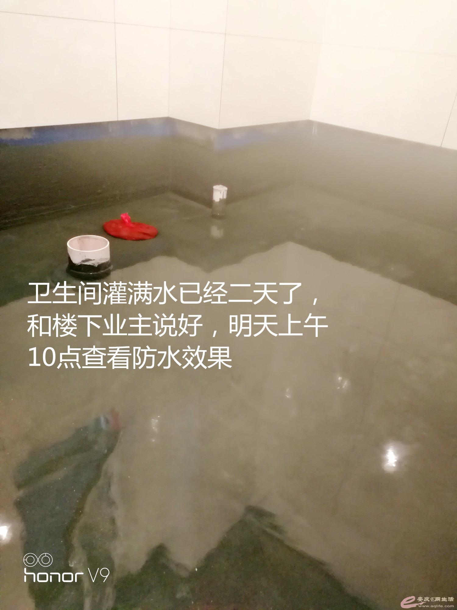 IMG_20180722_154912_.jpg