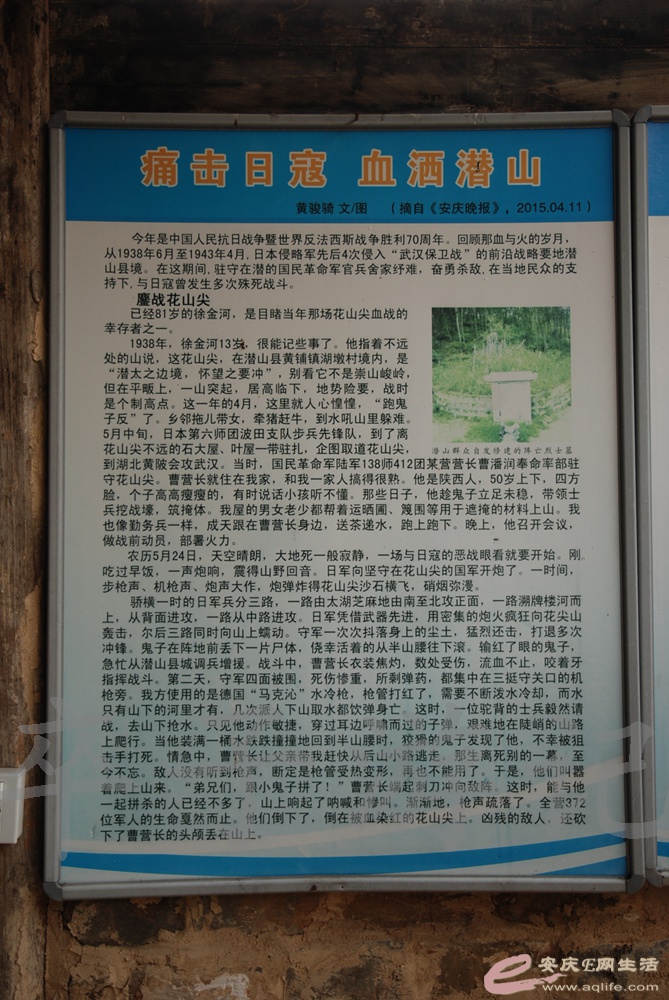 DSC_5290.jpg