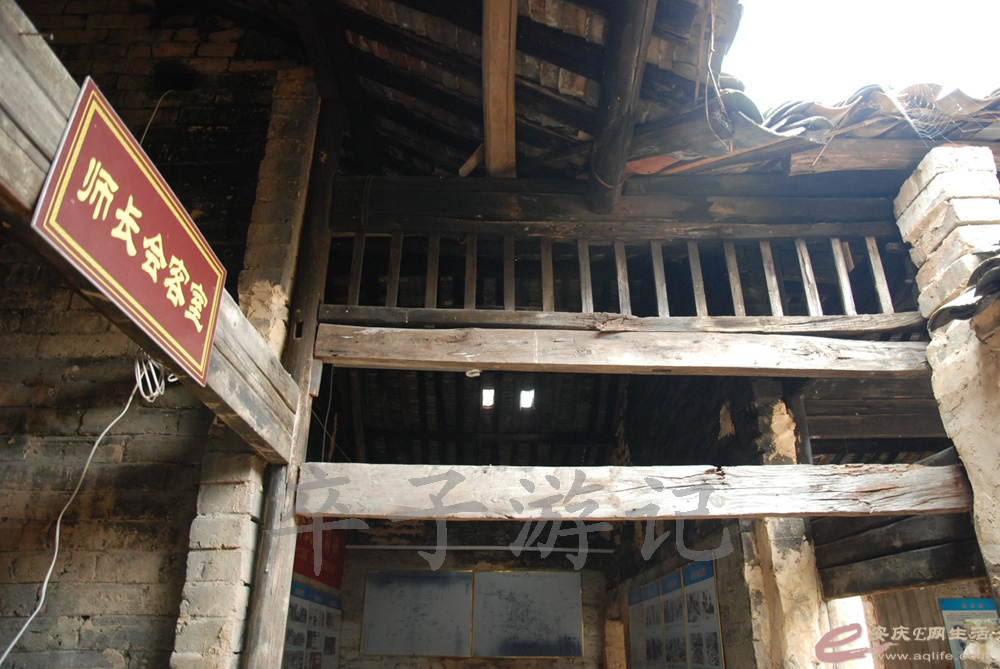 DSC_5325.jpg
