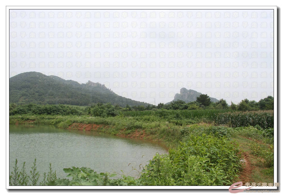20150718 296.jpg