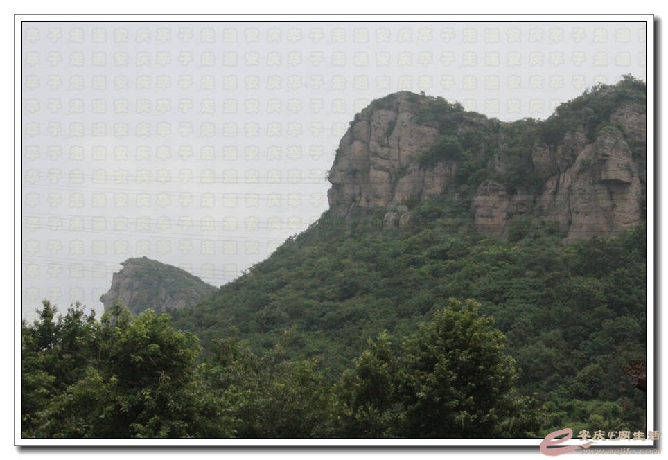 20150718 311.jpg