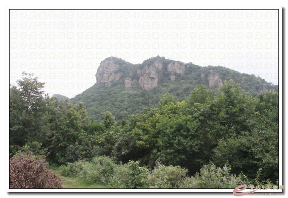 20150718 323.jpg
