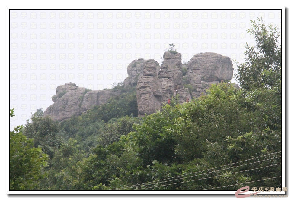 20150718 333.jpg