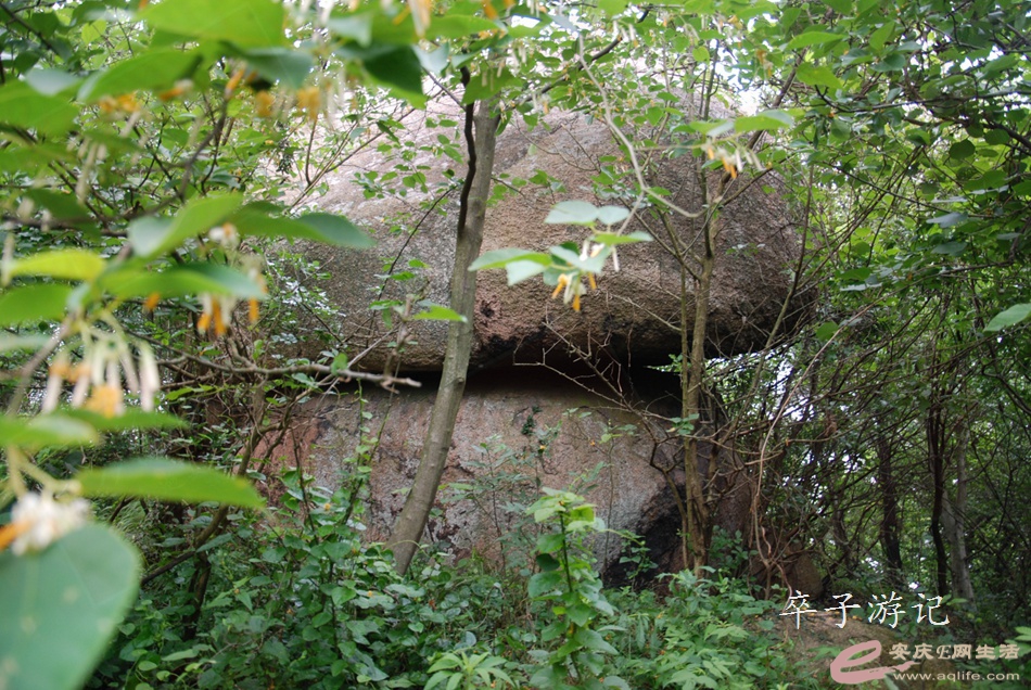 06.jpg