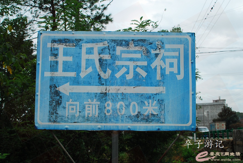 105.jpg