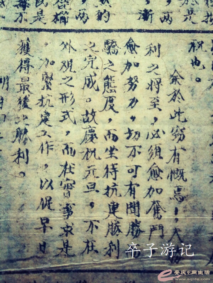 119.jpg