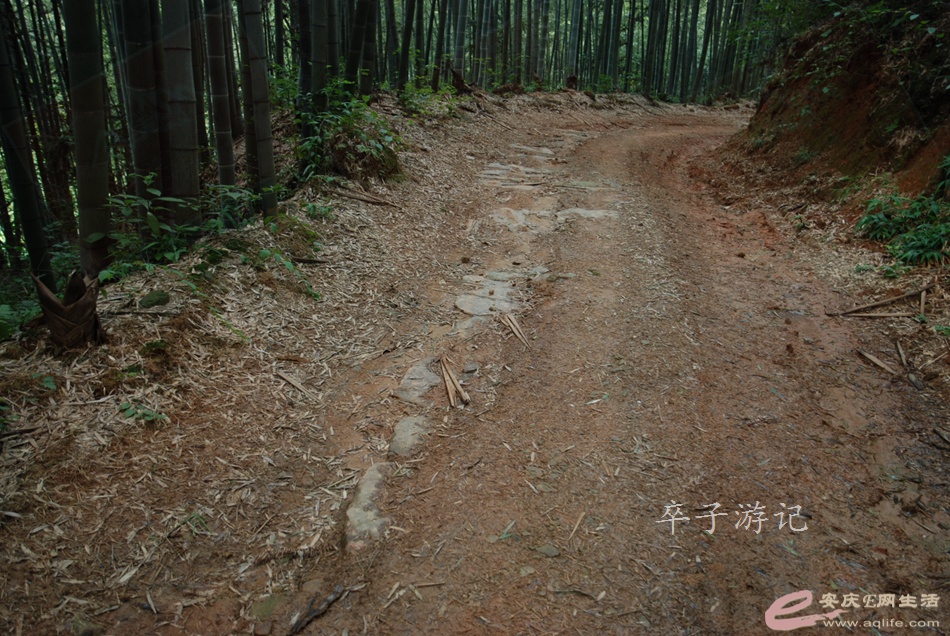 05.jpg