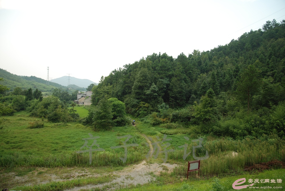 DSC_6042.jpg