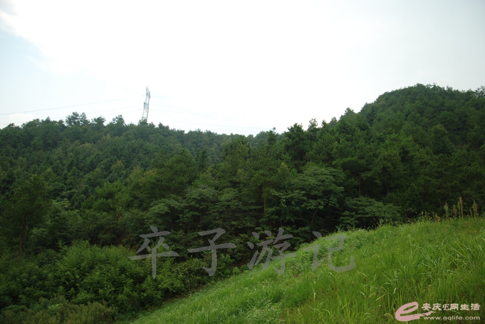 DSC_6043.jpg
