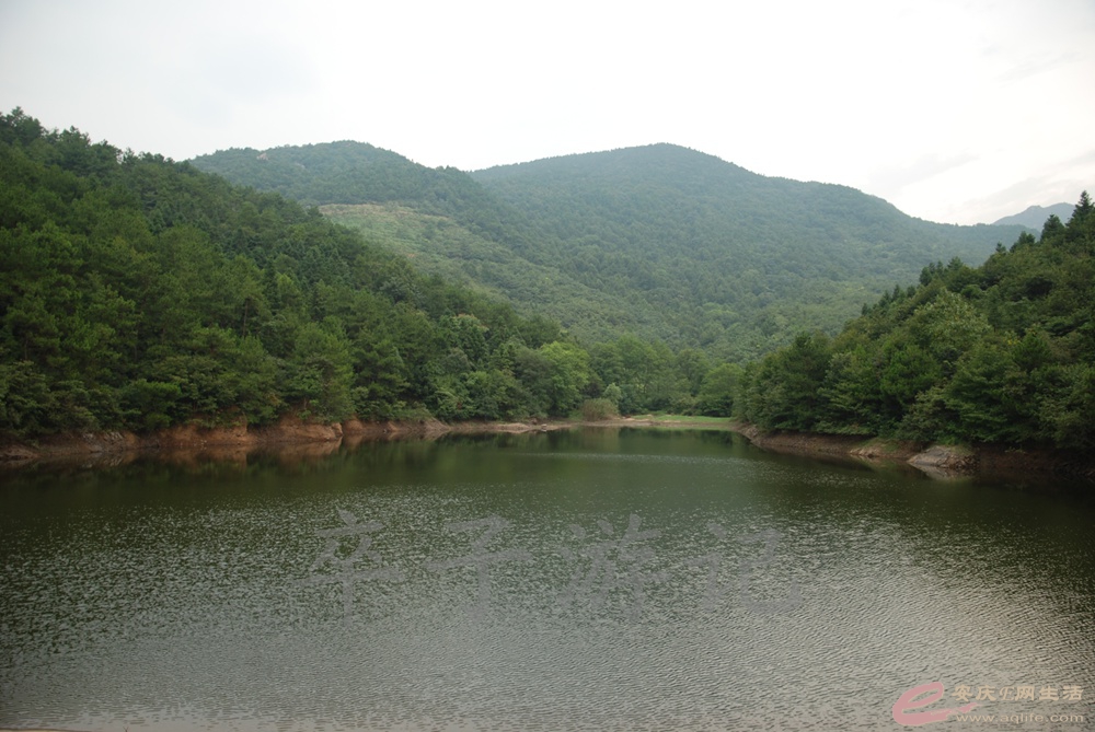 DSC_6046.jpg