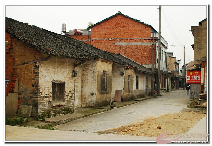 DSC_9042.jpg