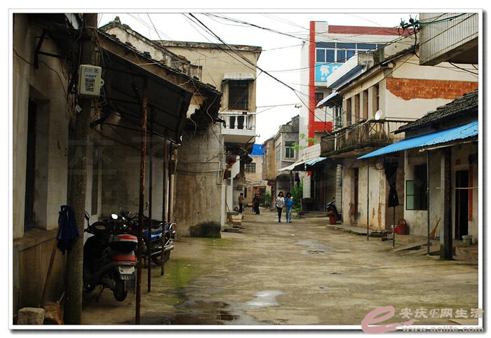 DSC_9049.jpg