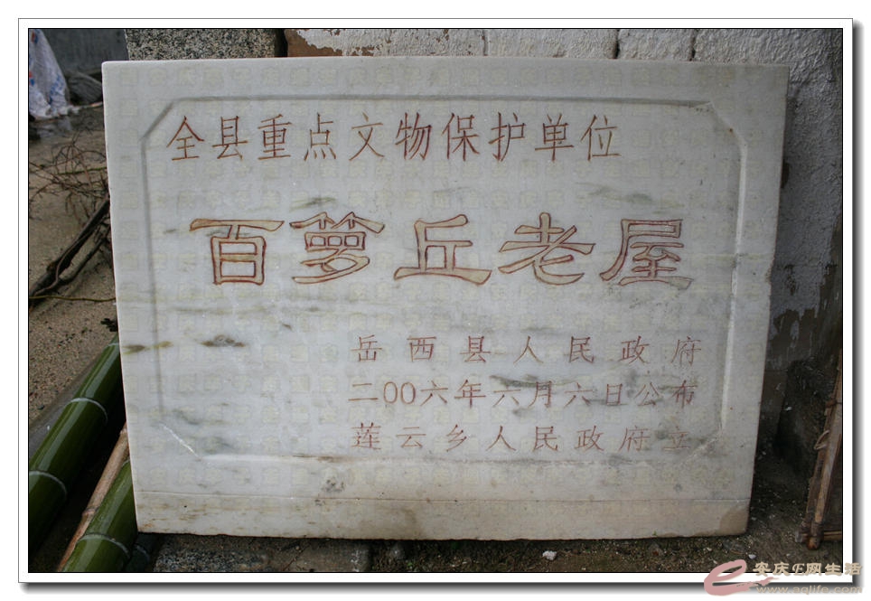 20150404 140.jpg