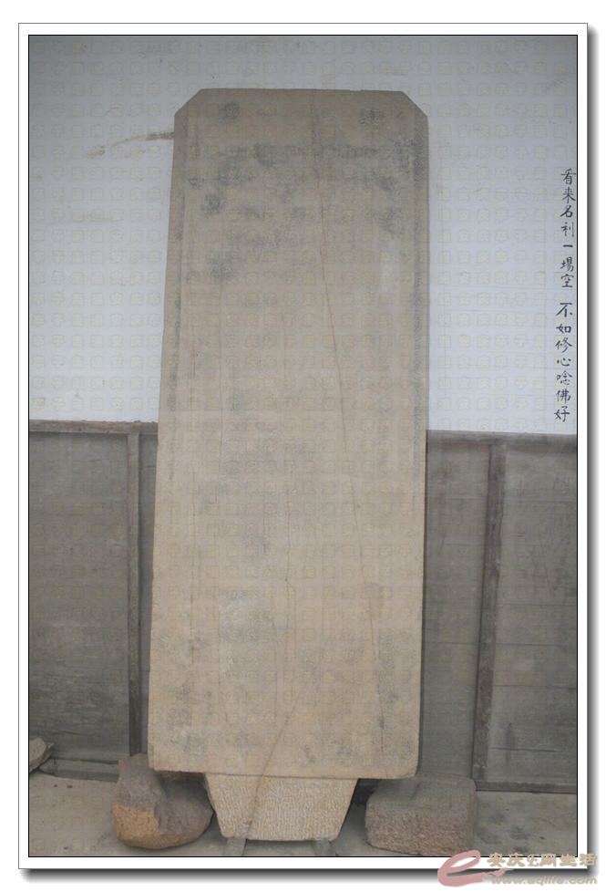 20150314 384.jpg