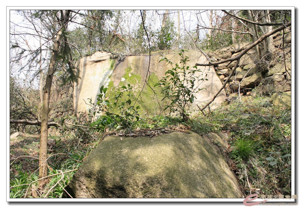 20150307 308.jpg