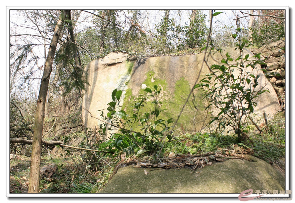 20150307 329.jpg