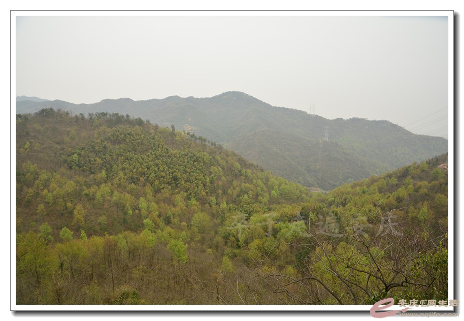 20160320 534.jpg