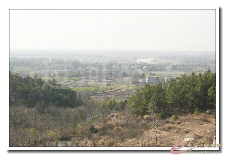 20140315 280.jpg