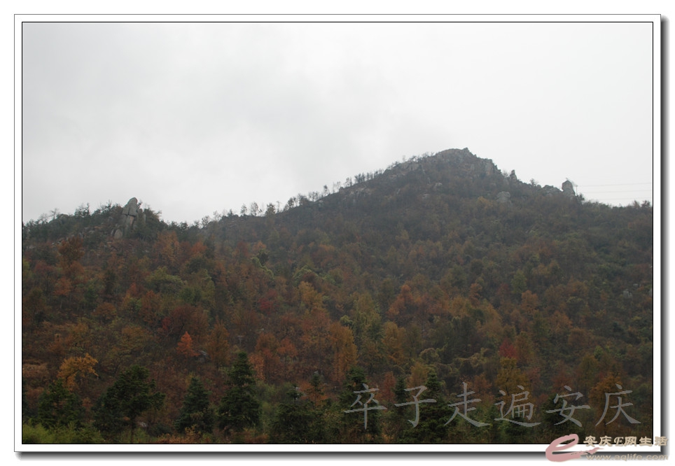 DSC_1992.jpg