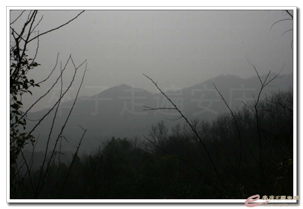 20150117 009.jpg