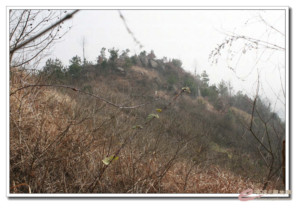 20150117 014.jpg