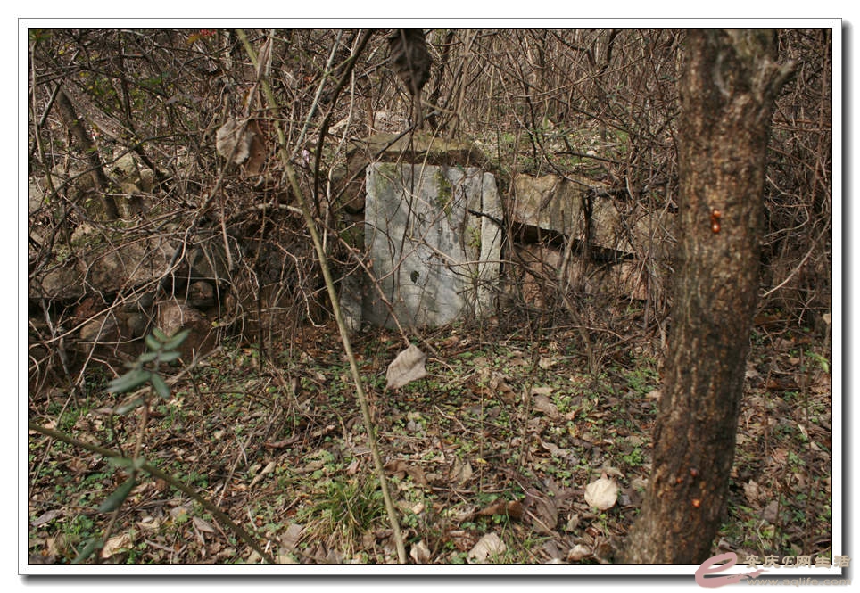 20150117 018.jpg