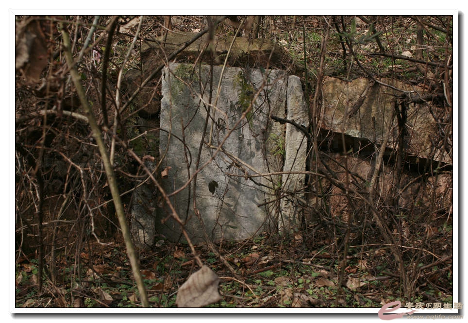 20150117 019.jpg