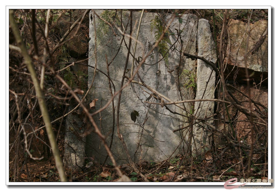 20150117 020.jpg