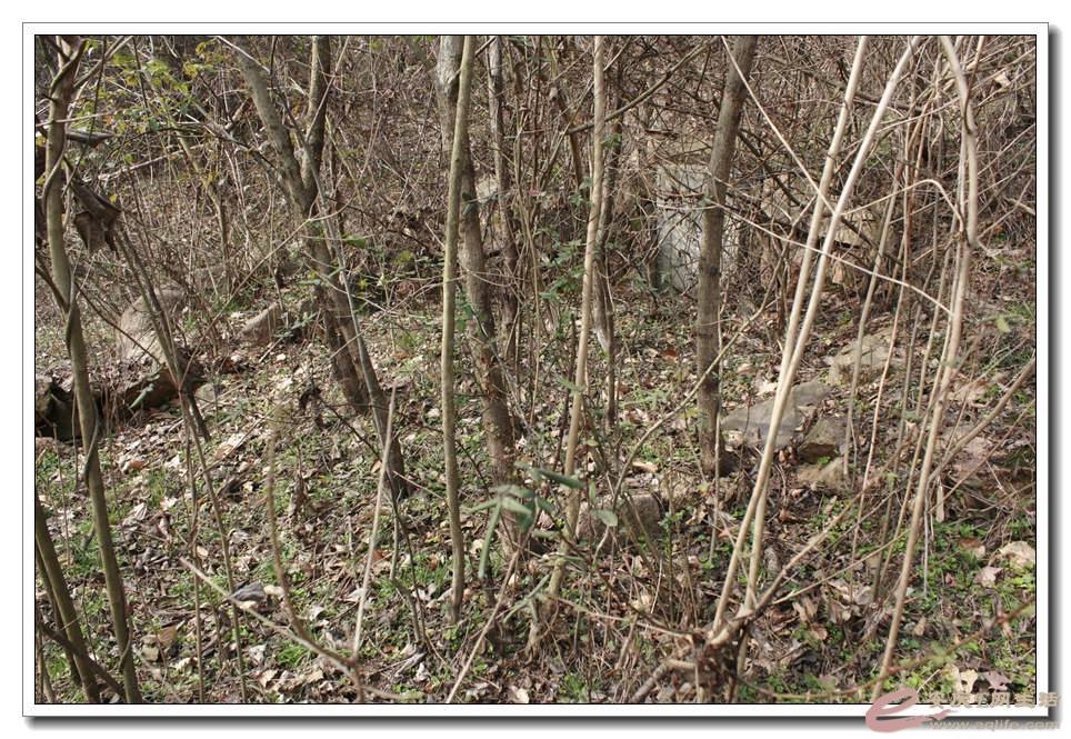 20150117 023.jpg