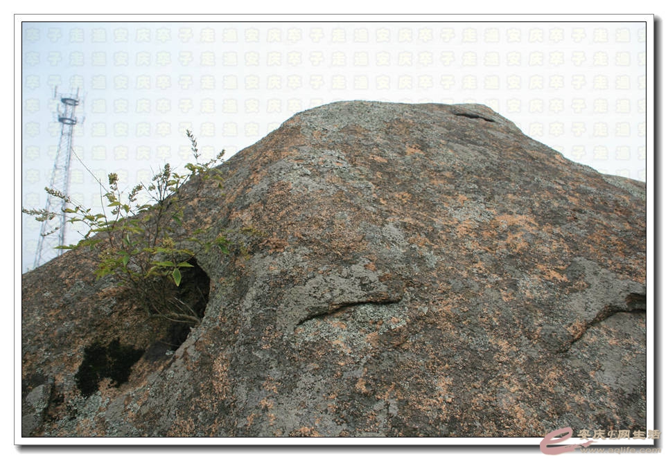 20150815 450.jpg