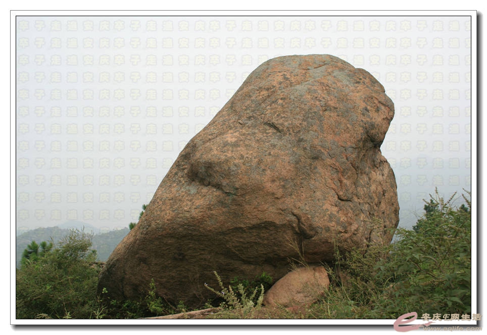 20150815 463.jpg