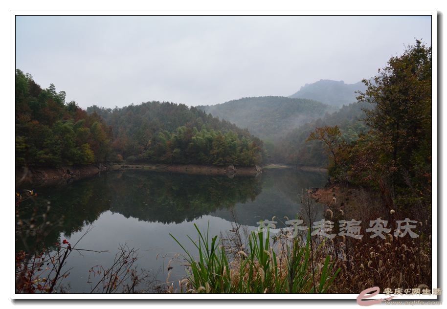 20151114 124.jpg