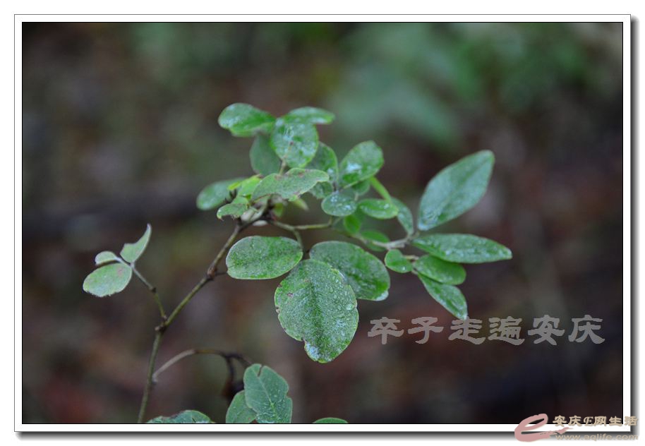 20151114 151.jpg